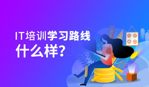 0基础参加编程课主要学什么